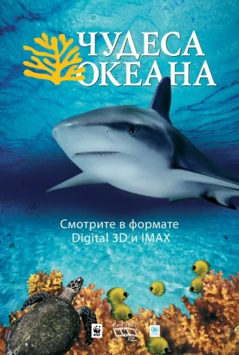 Чудеса океана 3D (2003) онлайн бесплатно